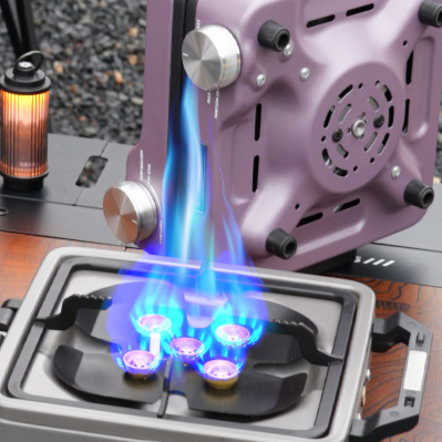 Portable Folding Dual-Burner Stove